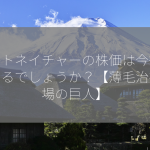 アートネイチャーの株価は今後どうなるでしょうか？【薄毛治療市場の巨人】